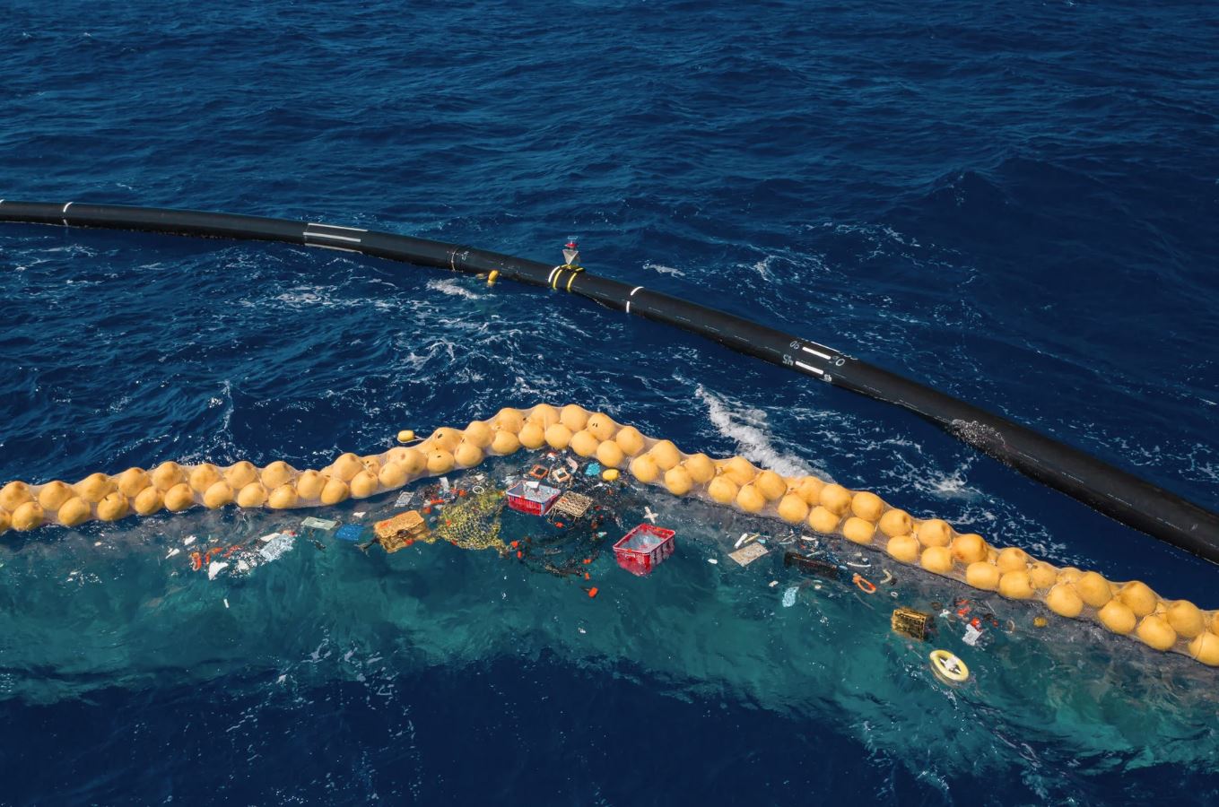 Healing the Sea That Sustains Us All